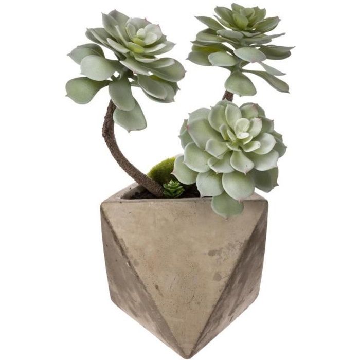 Atmosphera - Plante grasse géométrique en pot H30 L, 15 x l, 15 x H, 30 cm Vert