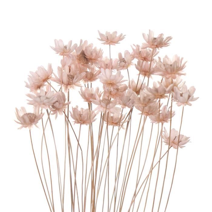 Fleurs séchées décoratives Mini marguerite petites étoiles fleurs Bouquet plantes naturelles préserver - light pink-30PCS