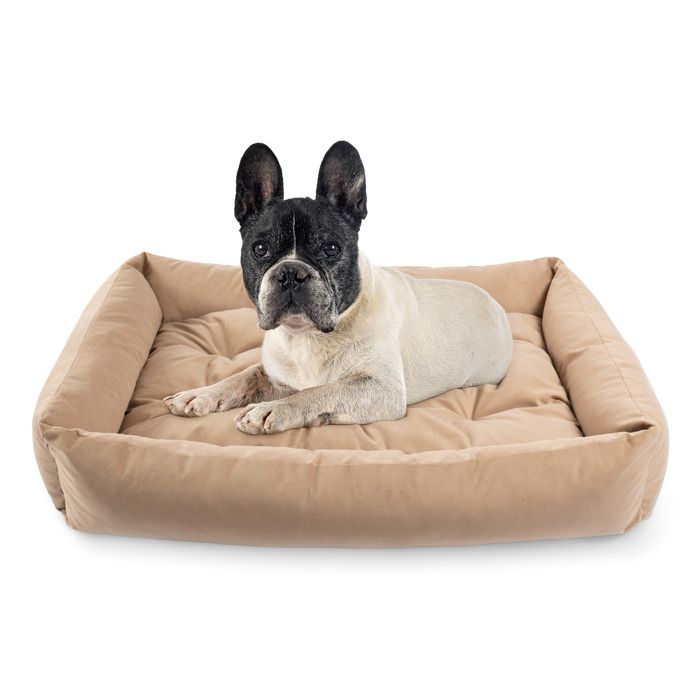Meilleurs prix pour Lit pour Chien Panier Coussin Canapé S 75x55 cm Beige Velours Velvet PET ZEN Lavable