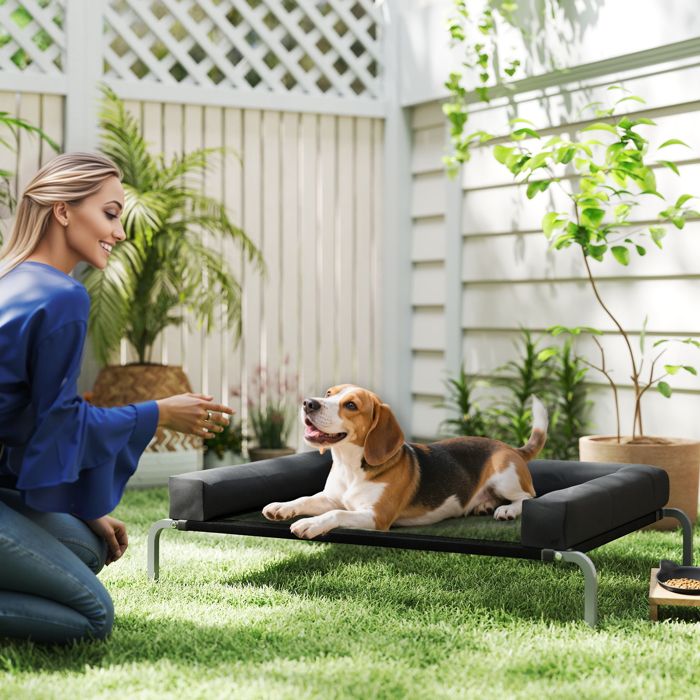 Lit surélevé pour chien rafraichissant lit de camp pour chiens intérieur extérieur portable 110 x 75 x 30 cm noir