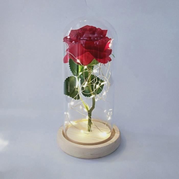 Rose Eternelle Sous Cloche Rouge Rose Blanche Led Anniversaire Fete Deco Lampe Blanc Cdiscount Maison Rose Eternelle Sous Cloche Rouge Rose Blanche Led Anniversaire Fete Deco Lampe Blanc Cdiscount Maison