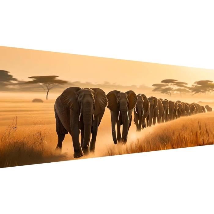 Kit Peinture Diamant 5D Éléphant Avec Bébé 30x80 Cm – Broderie Diamant Complet Pour Adultes, Strass Brillants