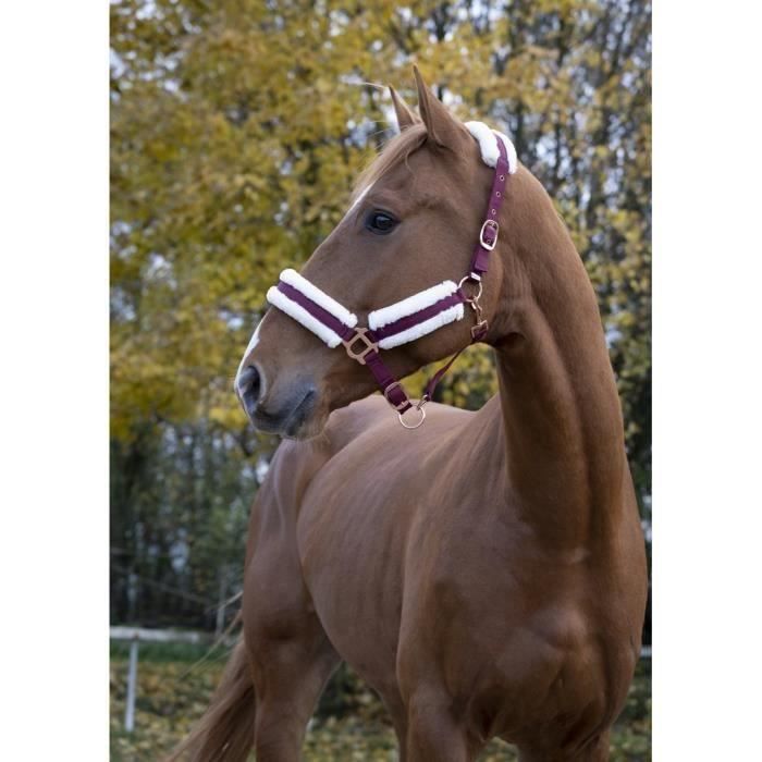 Comparer les prix de Licol NORTON Confort - Couleur : bordeaux bouclerie coloris or rose Taille : shetland
