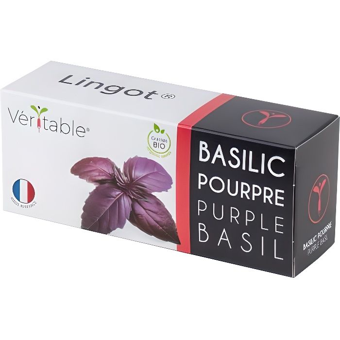 Lingot® Basilic pourpre BIO - Potager d'intérieur Véritable