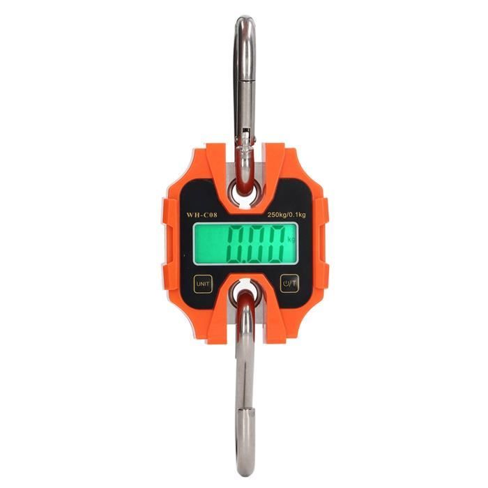 Balance numérique suspendue pour pesée, balance à poisson électronique portable suspendue
