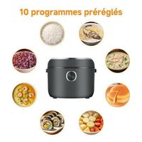 Cuisinière à Riz Mini AMZCHEF 4L 12-en-1 - Cuiseur Riz Multifonction 860W Avec Timer Et Maintien Au Chaud
