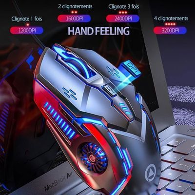 Souris Sans Fil RGB Rechargeable - Silencieuse 3 Modes - 2400 DPI - PC/gaming