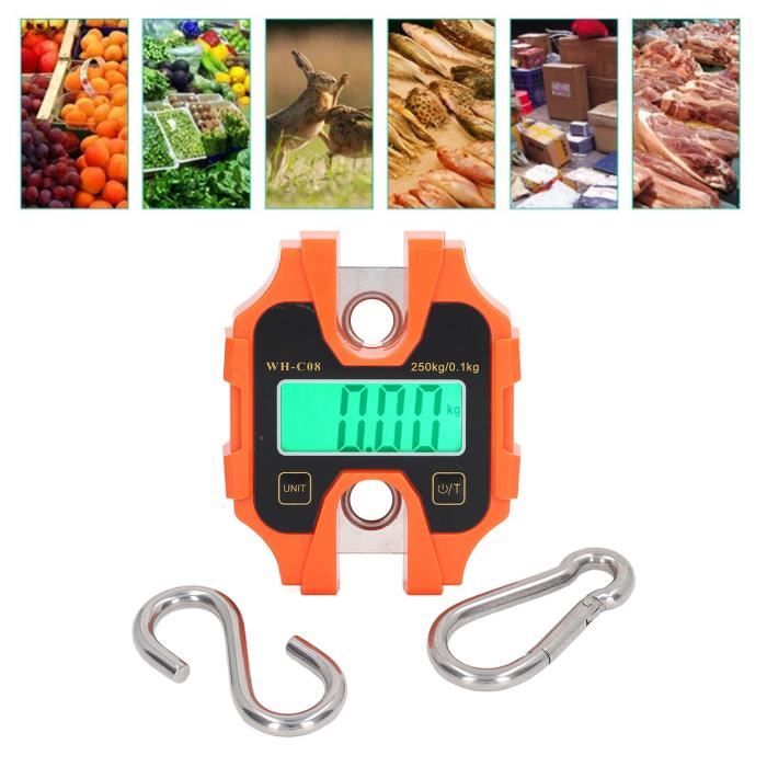 Balance Numérique De Pêche Eposeidon/KastKing 110lb - Étanche Avec Règle