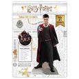 Figurine en carton à poser - Harry Potter - personnages 10 à 30 CM-3