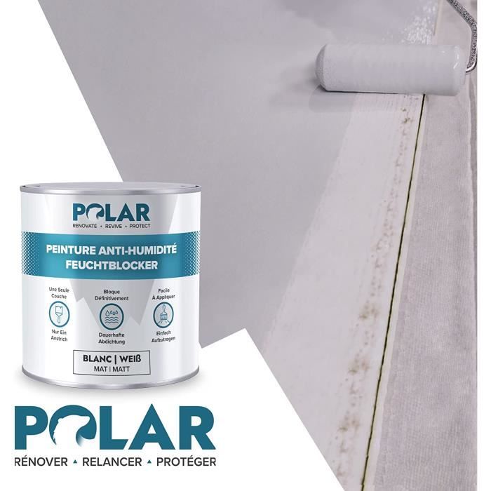 Peinture Anti-humidité - Blanc mat 750 ml - Bloque-tâches instantané -  Stoppe définitivement les moisissures pour les murs A153 - Cdiscount  Bricolage