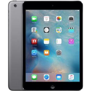 TABLETTE TACTILE Apple iPad Mini 2 WiFi 16GB Grey SUPER PROMOTION