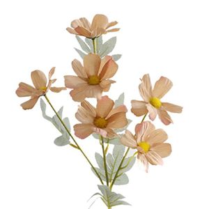 Royalfleur PFRK20329 Graines de Coreopsis Roulette Surprenant