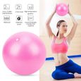 Alomejor Ballon d'exercice de 25 cm Balle d'exercice de yoga robuste de 25 cm Balles de fitness pour grossesse Pilates-2