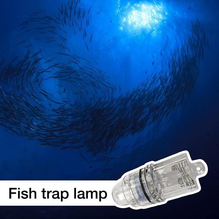 Mini leurre de pêche Lumière Led Chute profonde Sous-marin Forme d'œil  Pêche Calmar Pêche Appât De pêche Leurre lumineux pour attirer les poissons
