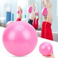 Alomejor Ballon d'exercice de 25 cm Balle d'exercice de yoga robuste de 25 cm Balles de fitness pour grossesse Pilates-3