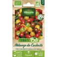 Sachet de Graines de Tomates Cerises Bio Vilmorin: Couleurs et Saveurs en Mélange--0