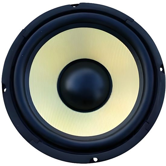 Haut-parleur De Basses Fenton 8 Pouces - 250W Max, 125W RMS - Pour Subwoofer Sur Mesure