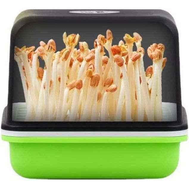 Kit Hydroponique Pour Herbe à Chat - Bac De Culture Compact En Plastique - Pour Faire Pousser De La Cataire à La Maison Ou Au Bureau - 8