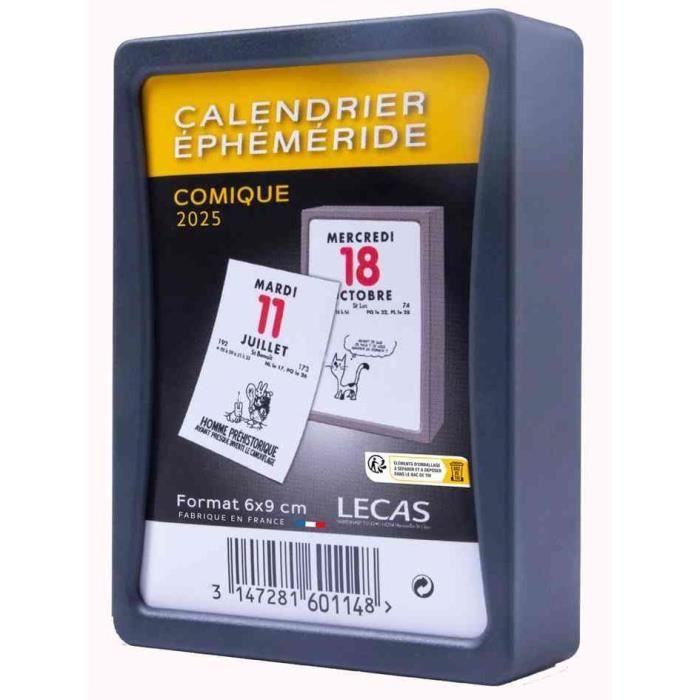 LECAS Calendrier Ephéméride 100735503 - 6 x 9 cm - Comique - 1 jour par  page - Cdiscount Beaux-Arts et Loisirs créatifs