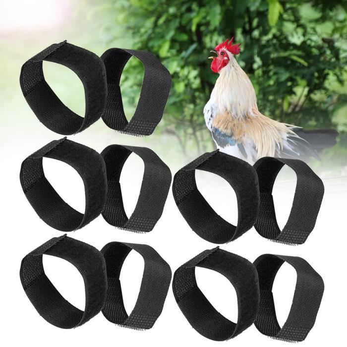 Comparer les prix de Collier pour Coq - SALALIS - 10Pcs - Anti-Grincement - Réglable - Nylon Doux