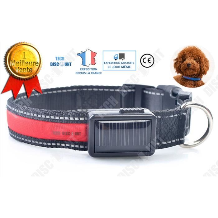 Td Collier Chien Lumineux Solaire Led Rechargeable Usb Chat Grand Personnalise Moyenne Taille Grand Antifugue Animaux De Compagnie Cdiscount Animalerie