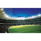 WALLARENA Papier Peint Intissé Football Chambre Enfant Garcon 254x184 cm Moderne Photo Non Tissé Muraux Trompe l'oeil