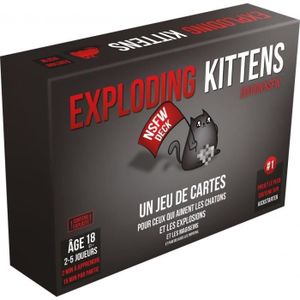TAPIS DE JEU DE CARTE Exploding Kittens : Nsfw - Jeu D'Ambiance Pour Adu