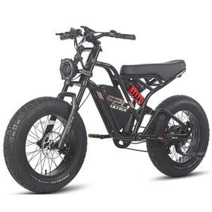 VÉLO ASSISTANCE ÉLEC Vélo électrique urbain Fafrees F20 Ultra 750W-batterie 25Ah-20*5.0 gros pneus-7 vitesses-noir satiné