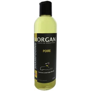 SHAMPOING - MASQUE Shampoing protéiné Poire Morgan : 250ml - MORGAN