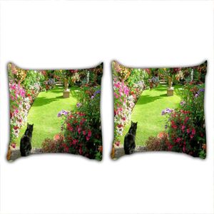Jardin herbe a chat - Cdiscount