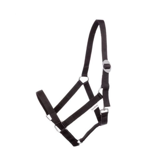 LICOL COB CUIR SIMPLE main image 0