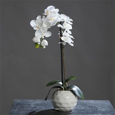 Orchidee artificielle Creme 1 hampe en pot Ceramique Blanc H 46 cm
