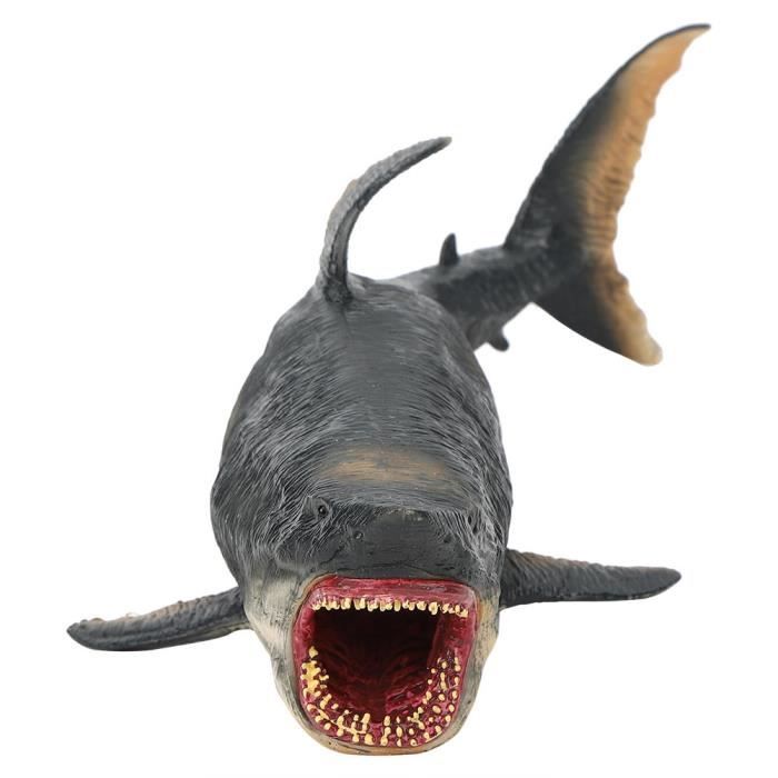 Meilleurs prix pour Tbest Figure de mégalodon Modèle de Requins Jouet de Simulation de Vie Marine Océanique Figure de Modèle Animal Rare(Mégalodon