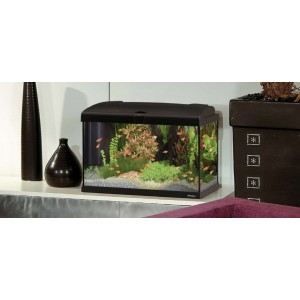 Meilleurs prix pour Ferplast Aquarium Capri 60