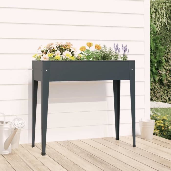 152262 vidaXL Jardinière 100 5x40 5x90 cm Acier galvanisé