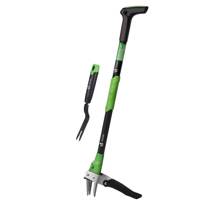 Lime Endodontique En Acier Inoxydable - Pour Canal Radiculaire - Longueur 25 Mm - Usage Dentaire Professionnel