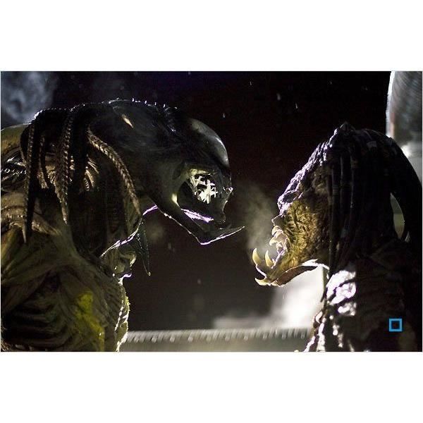Blu-Ray Coffret alien vs predator : alien vs pr... - Cdiscount DVD