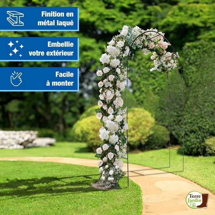 Les plantes grimpantes, beaucoup d'idées pour le jardin en 53 photos