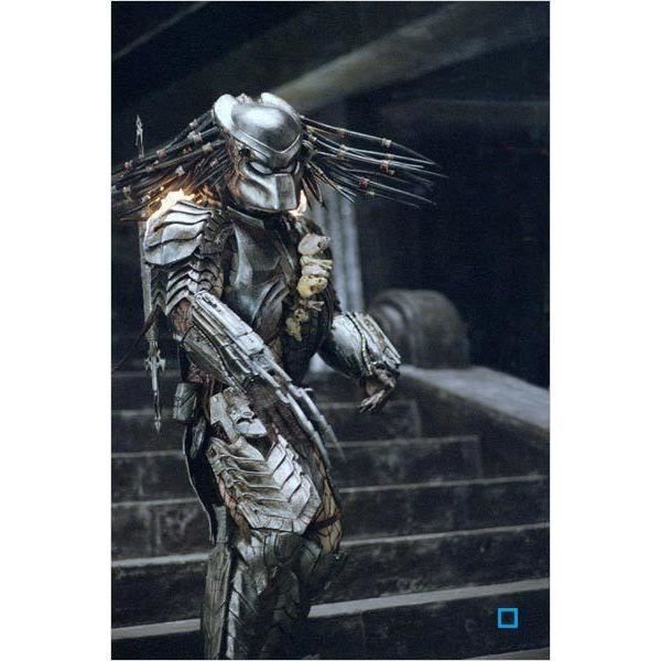 Blu-Ray Coffret alien vs predator : alien vs pr... - Cdiscount DVD