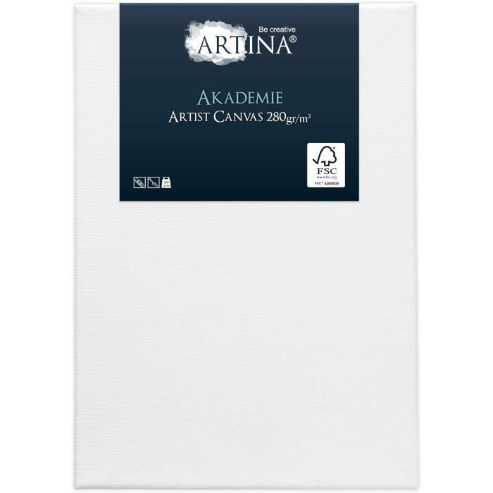 Lot 14 Toiles Sur Châssis Artina - 100% Coton 280g/m², Formats Variés