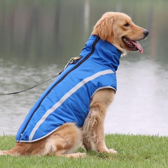 Manteau hiver sales pour chien