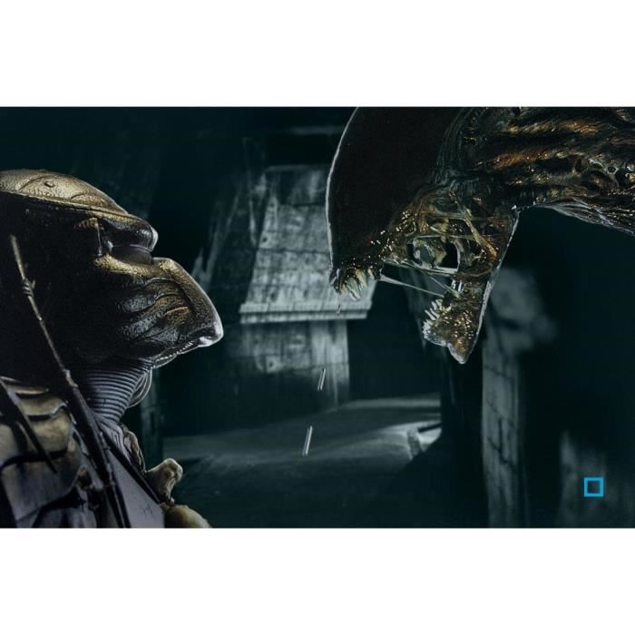 Blu-Ray Coffret alien vs predator : alien vs pr... - Cdiscount DVD