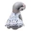 Petite Robe Chien Chien Robe Papillon De Chat De Chien Mignon Jupe D Ete Rew1 Achat Vente Robe Jupe Petite Robe Chien Chien Robe Cdiscount Petite Robe Chien Chien Robe Papillon De Chat De Chien Mignon Jupe D Ete Rew1 Achat Vente Robe Jupe Petite Robe Chien Chien Robe Cdiscount