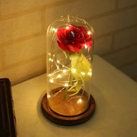 Rose en soie rouge avec guirlande lumineuse LED conservée dans un dôme en verre sur une base en bois pour la Saint-Valentin