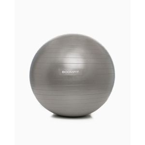 BALLON SUISSE-GYM BALL Ballon de Pilates 65cm