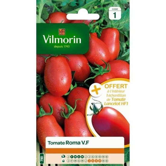 VILMORIN Tomate Roma V F Sachet De Graines Echantillon Tomate Surya vilmorin-tomate-roma-v-f-sachet-de-graines-echantillon-tomate-surya