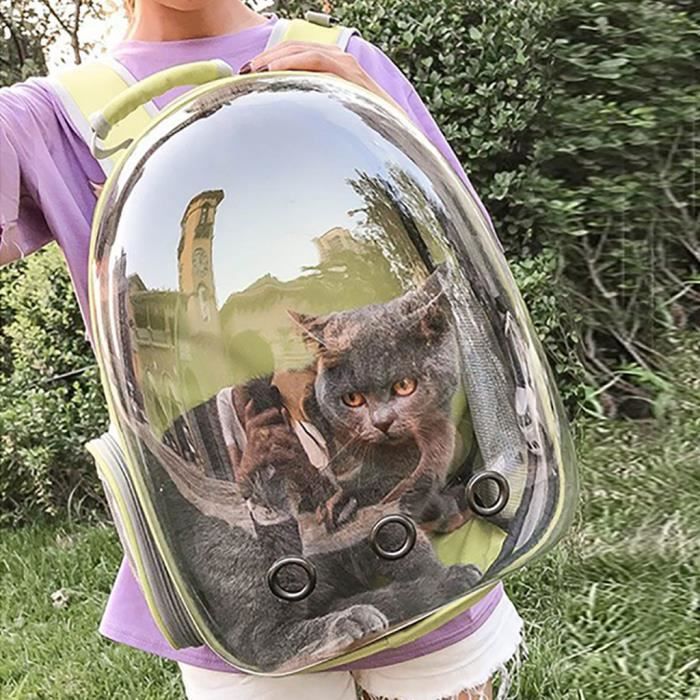 Nouveau sac de transport portable sac de voyage pour chien de compagnie de voyage pour chien sac à dos capsule spatiale respirant