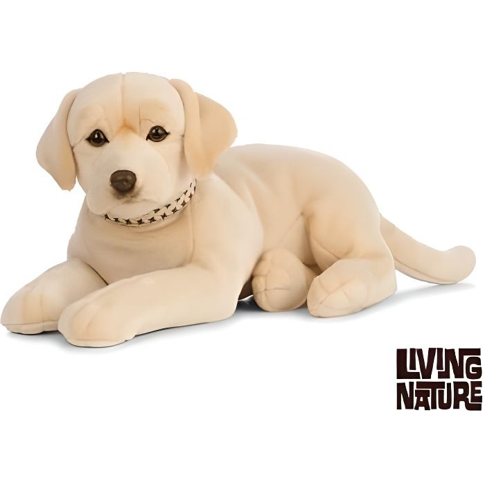 Peluche chien golden Labrador 60 cm - AN482
