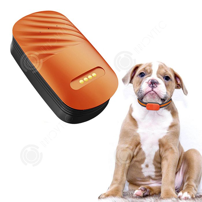 Comparer les prix de INN Collier gps pour chats et chiens 4g étanche système clôture anti-fugue traceur gps pour animaux traqueur gps pour chats et
