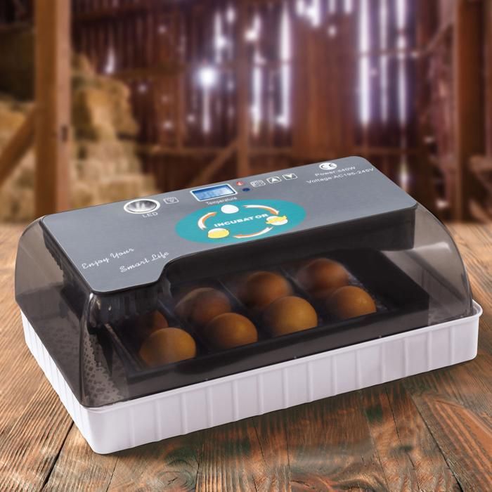 Meilleurs prix pour Couveuse Automatique - IDMARKET - 4 à 35 Œufs - Incubateur Autonome - Mire-Œufs